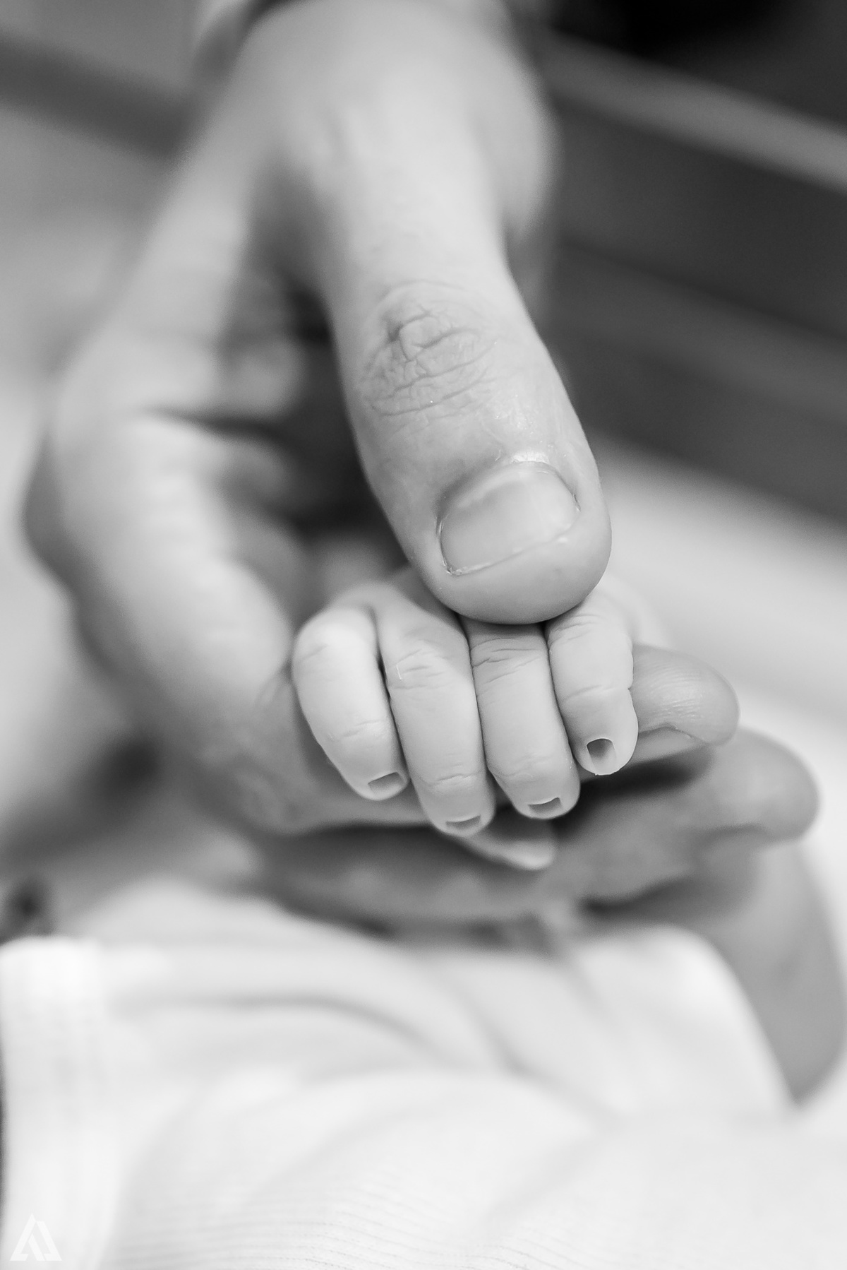 Fotografia de Parto Cesárea Normal Humanizado Alex Jardim Fotografia Fotógrafo iapbp cesarean maternidade Resende Itatiaia Penedo Porto Real Quatis Barra Mansa Volta Redonda Serrinha do Alambari Hospital Maternidade APMIR SAMER UNIMED