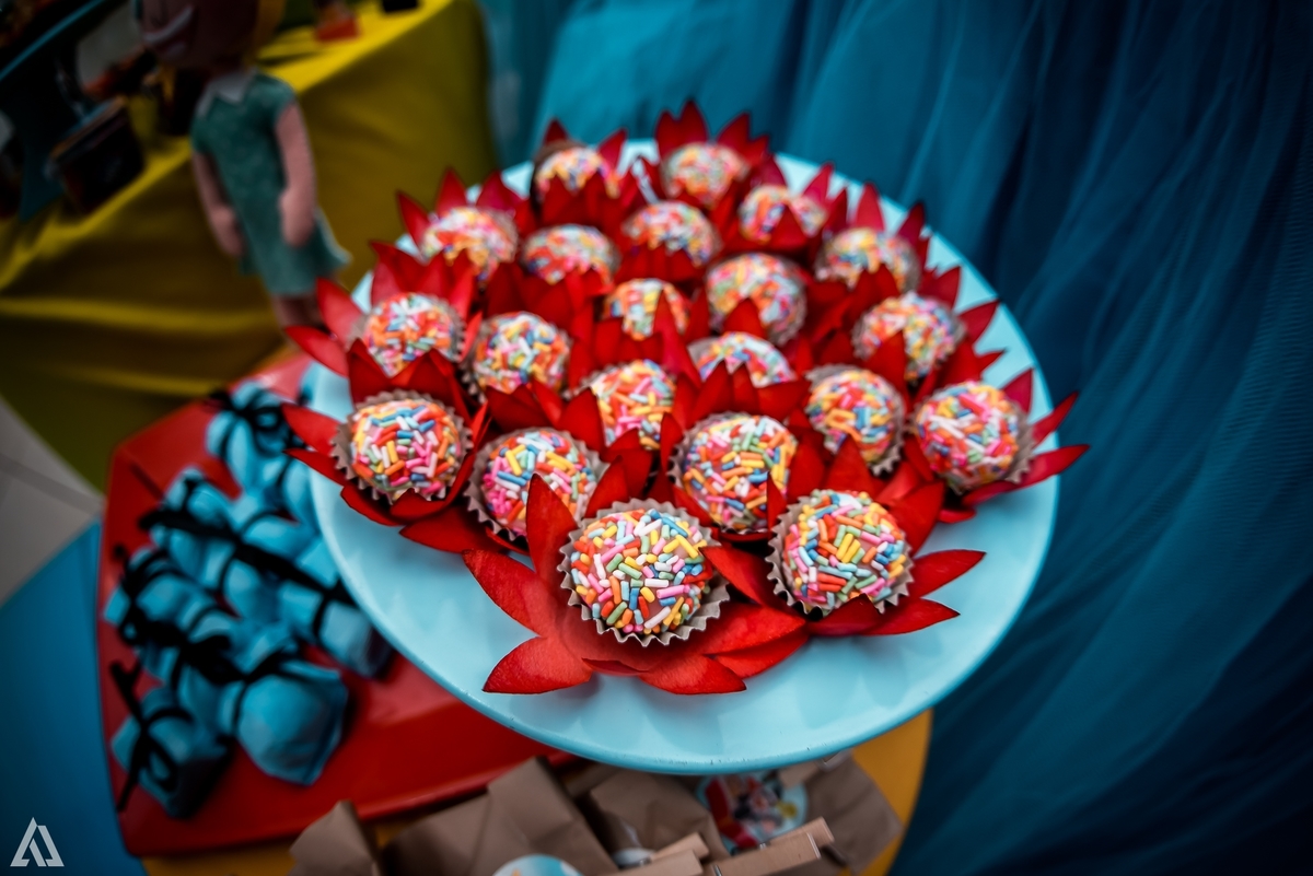 Aniversário Infantil Mundo Bita Alex Jardim Fotografia Fotógrafo Resende Itatiaia Penedo Porto Real Quatis Barra Mansa Volta Redonda Salão Conforto Festas