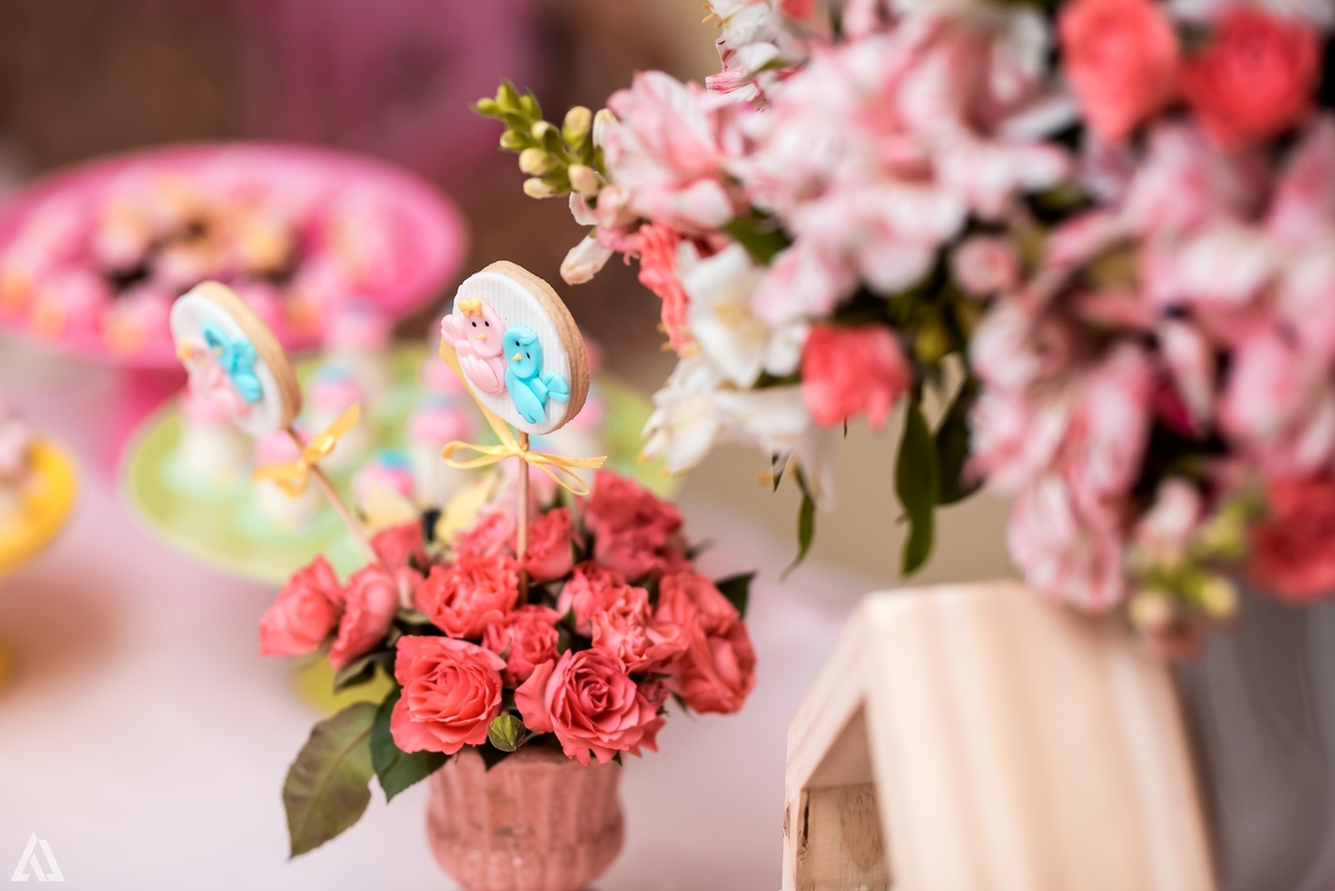 Aniversário Infantil Jardim Encantado Alex Jardim Fotografia Fotógrafo Resende Itatiaia Penedo Porto Real Quatis Barra Mansa Volta Redonda Montana Eventos