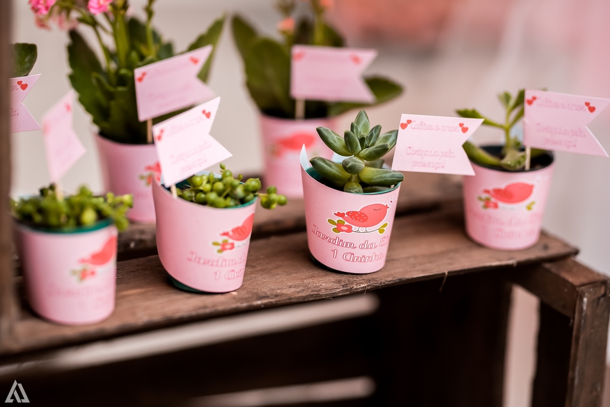 Aniversário Infantil Jardim Encantado Alex Jardim Fotografia Fotógrafo Resende Itatiaia Penedo Porto Real Quatis Barra Mansa Volta Redonda Montana Eventos