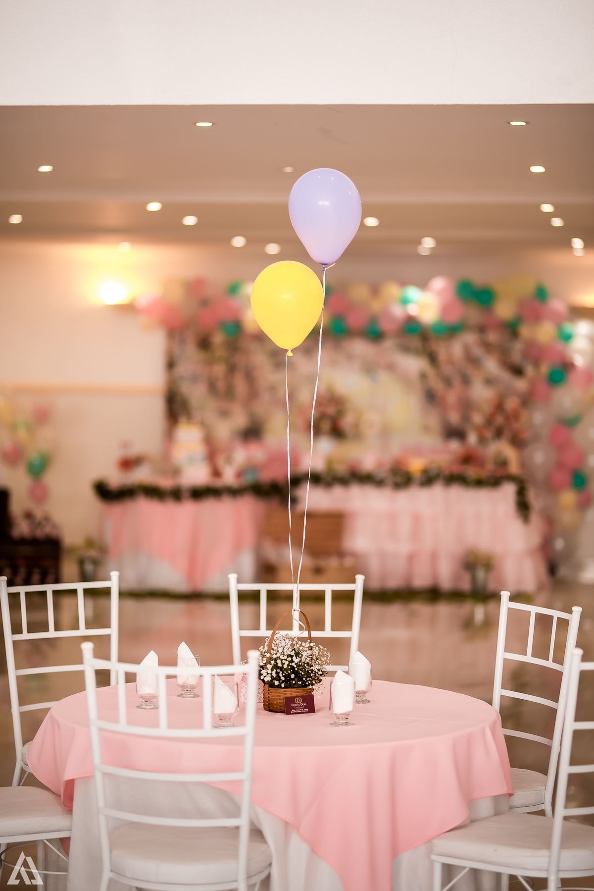 Aniversário Infantil Jardim Encantado Alex Jardim Fotografia Fotógrafo Resende Itatiaia Penedo Porto Real Quatis Barra Mansa Volta Redonda Montana Eventos