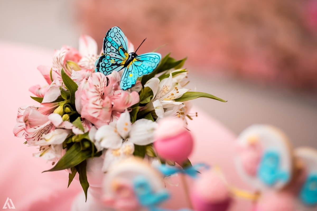 Aniversário Infantil Jardim Encantado Alex Jardim Fotografia Fotógrafo Resende Itatiaia Penedo Porto Real Quatis Barra Mansa Volta Redonda Montana Eventos