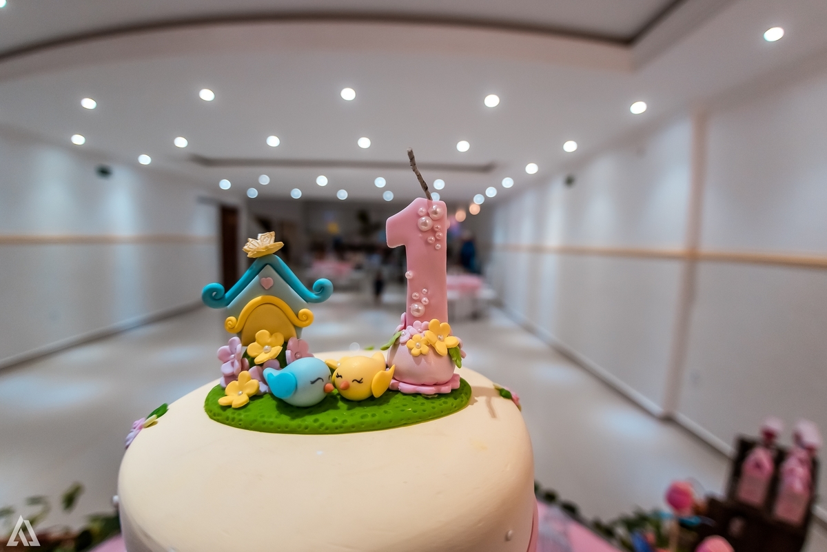 Aniversário Infantil Jardim Encantado Alex Jardim Fotografia Fotógrafo Resende Itatiaia Penedo Porto Real Quatis Barra Mansa Volta Redonda Montana Eventos