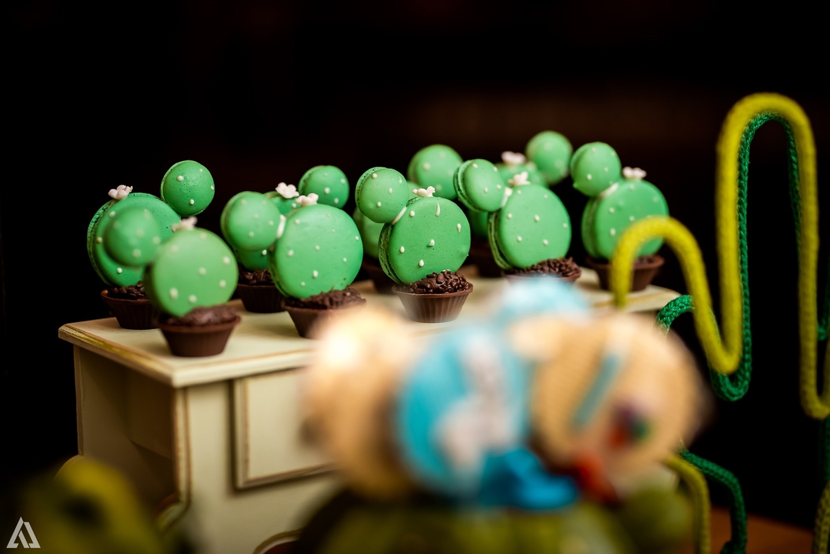 Aniversário Infantil México Alex Jardim Fotografia Fotógrafo Resende Itatiaia Penedo Porto Real Quatis Barra Mansa Volta Redonda Condomínio Residencial Limeira Tênis Clube