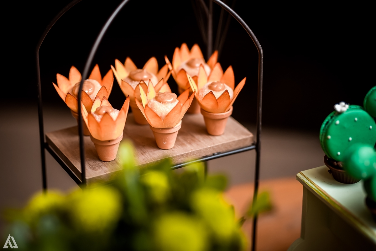 Aniversário Infantil México Alex Jardim Fotografia Fotógrafo Resende Itatiaia Penedo Porto Real Quatis Barra Mansa Volta Redonda Condomínio Residencial Limeira Tênis Clube