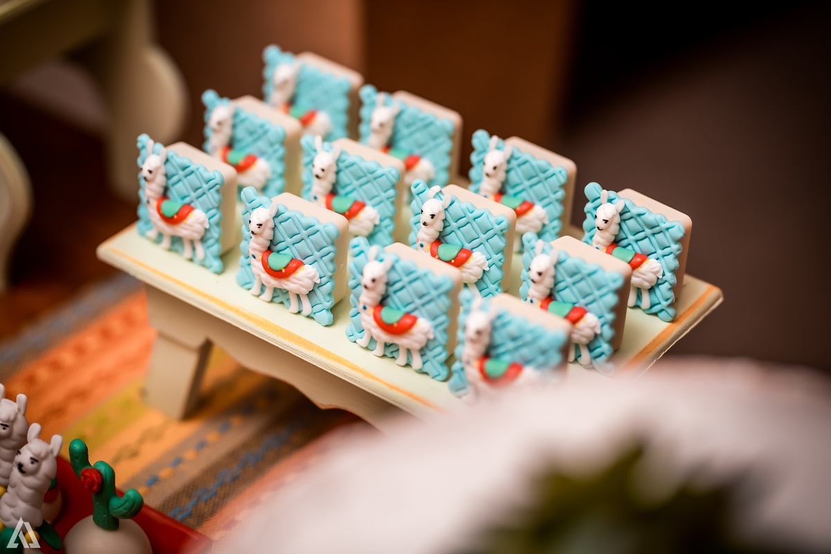 Aniversário Infantil México Alex Jardim Fotografia Fotógrafo Resende Itatiaia Penedo Porto Real Quatis Barra Mansa Volta Redonda Condomínio Residencial Limeira Tênis Clube