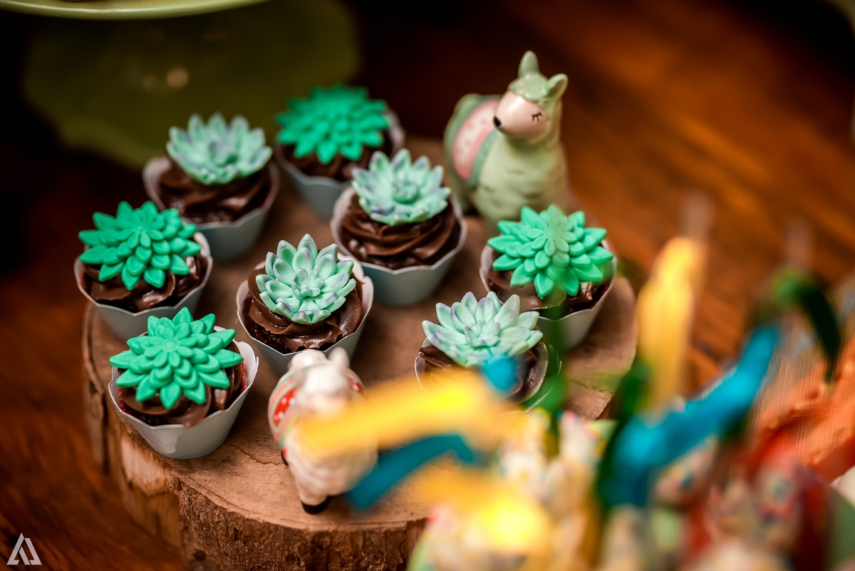 Aniversário Infantil México Alex Jardim Fotografia Fotógrafo Resende Itatiaia Penedo Porto Real Quatis Barra Mansa Volta Redonda Condomínio Residencial Limeira Tênis Clube