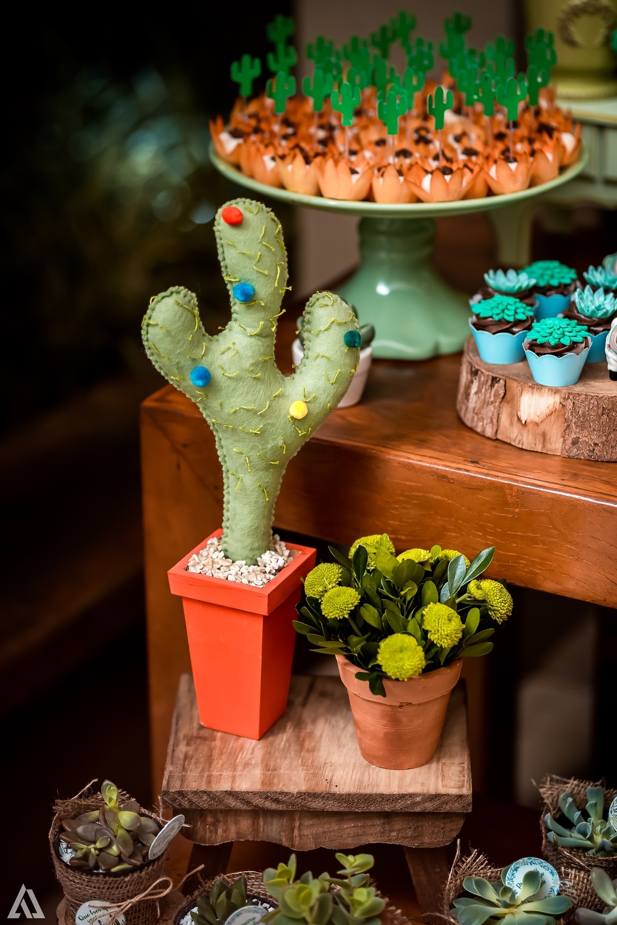 Aniversário Infantil México Alex Jardim Fotografia Fotógrafo Resende Itatiaia Penedo Porto Real Quatis Barra Mansa Volta Redonda Condomínio Residencial Limeira Tênis Clube