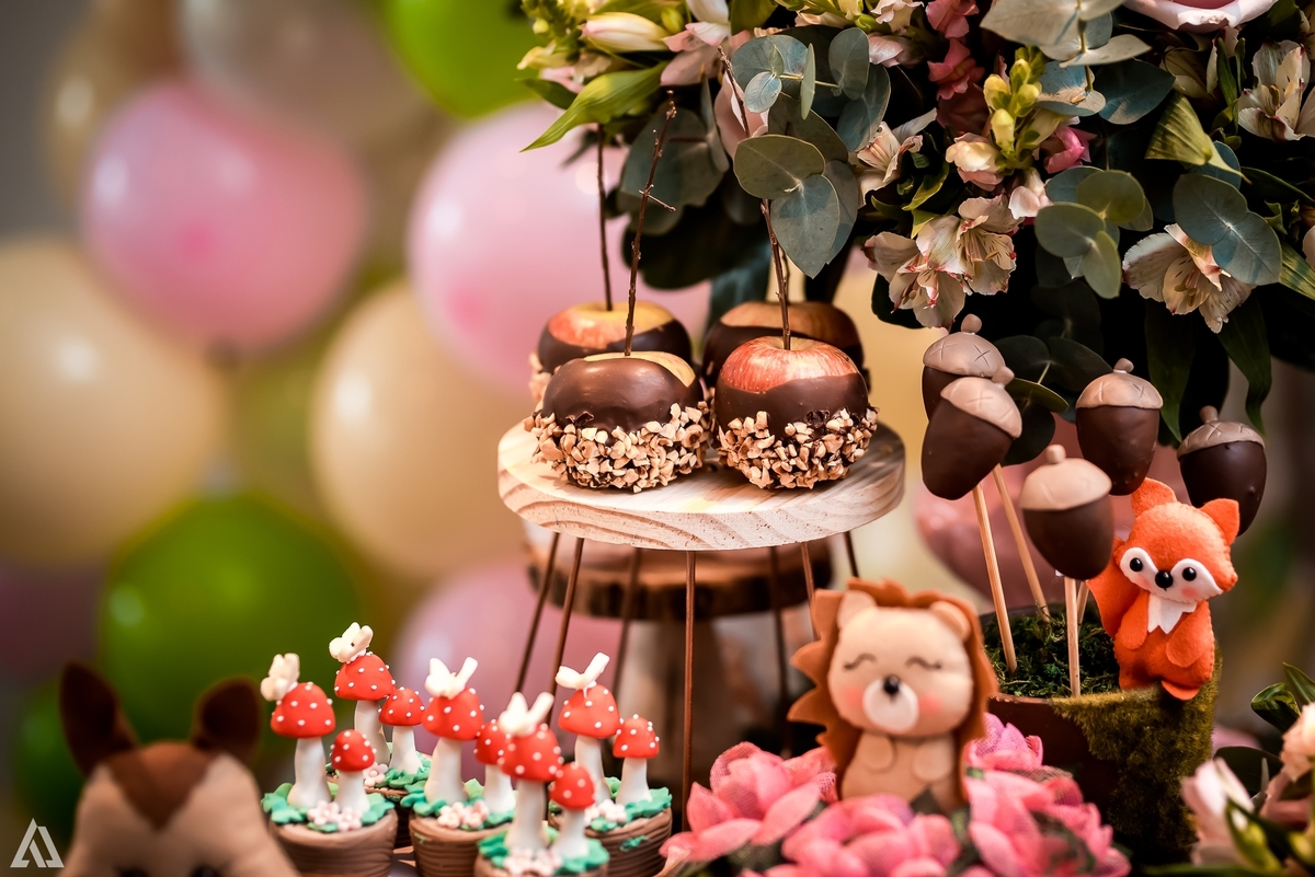 Aniversário Infantil Bosque encantado Alex Jardim Fotografia Fotógrafo Resende Itatiaia Penedo Porto Real Quatis Barra Mansa Volta Redonda Condomínio Residencial Limeira Tênis Clube