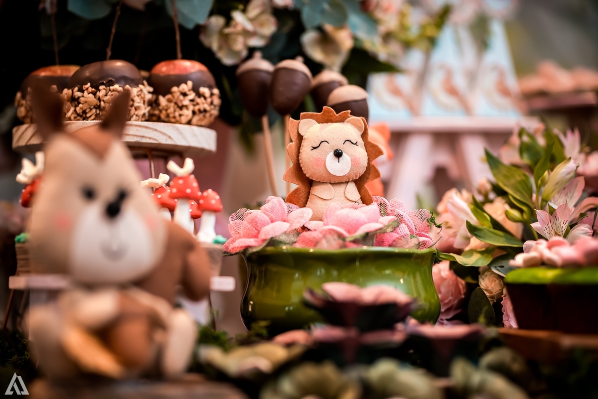 Aniversário Infantil Bosque encantado Alex Jardim Fotografia Fotógrafo Resende Itatiaia Penedo Porto Real Quatis Barra Mansa Volta Redonda Condomínio Residencial Limeira Tênis Clube