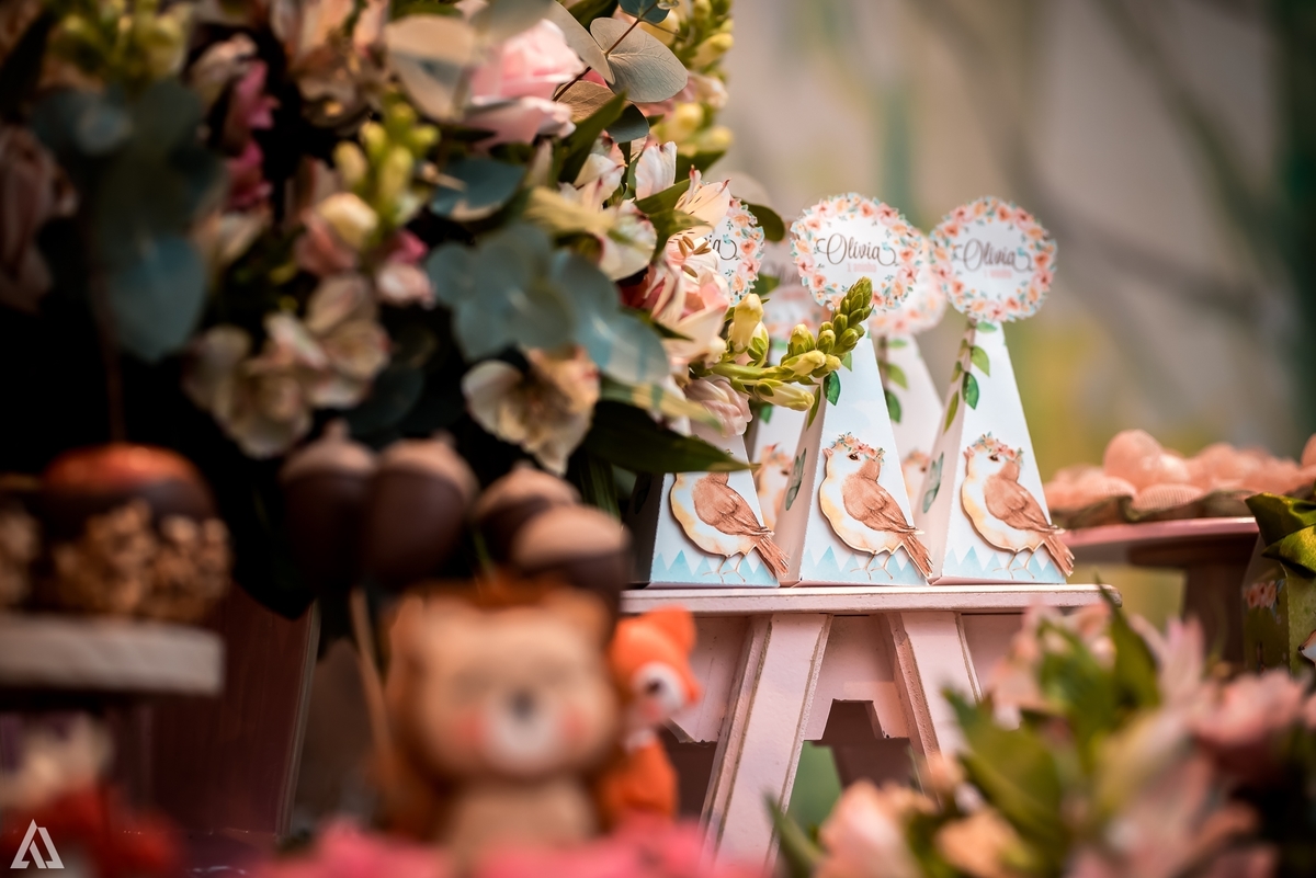 Aniversário Infantil Bosque encantado Alex Jardim Fotografia Fotógrafo Resende Itatiaia Penedo Porto Real Quatis Barra Mansa Volta Redonda Condomínio Residencial Limeira Tênis Clube