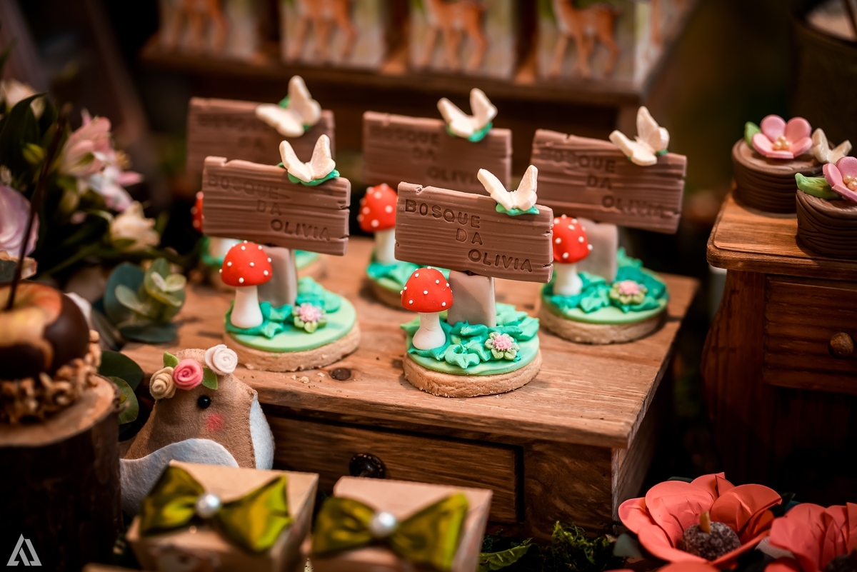 Aniversário Infantil Bosque encantado Alex Jardim Fotografia Fotógrafo Resende Itatiaia Penedo Porto Real Quatis Barra Mansa Volta Redonda Condomínio Residencial Limeira Tênis Clube