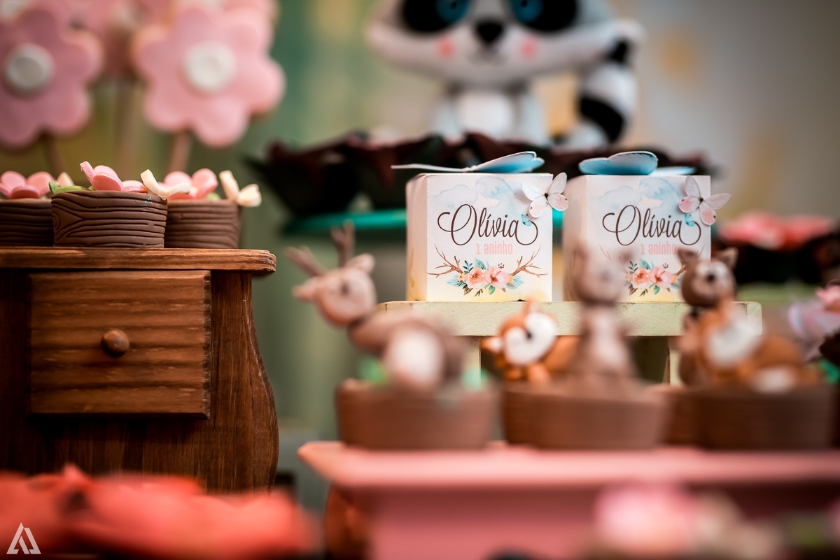 Aniversário Infantil Bosque encantado Alex Jardim Fotografia Fotógrafo Resende Itatiaia Penedo Porto Real Quatis Barra Mansa Volta Redonda Condomínio Residencial Limeira Tênis Clube