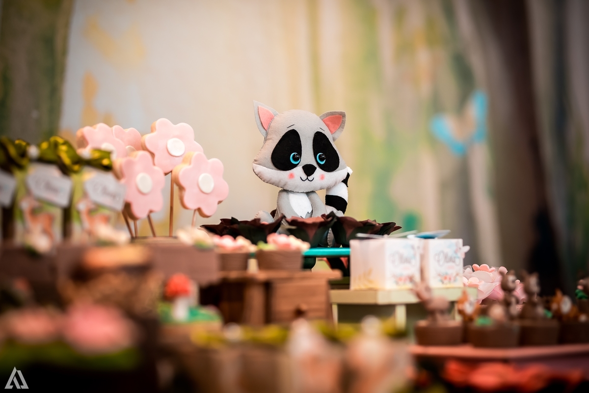 Aniversário Infantil Bosque encantado Alex Jardim Fotografia Fotógrafo Resende Itatiaia Penedo Porto Real Quatis Barra Mansa Volta Redonda Condomínio Residencial Limeira Tênis Clube