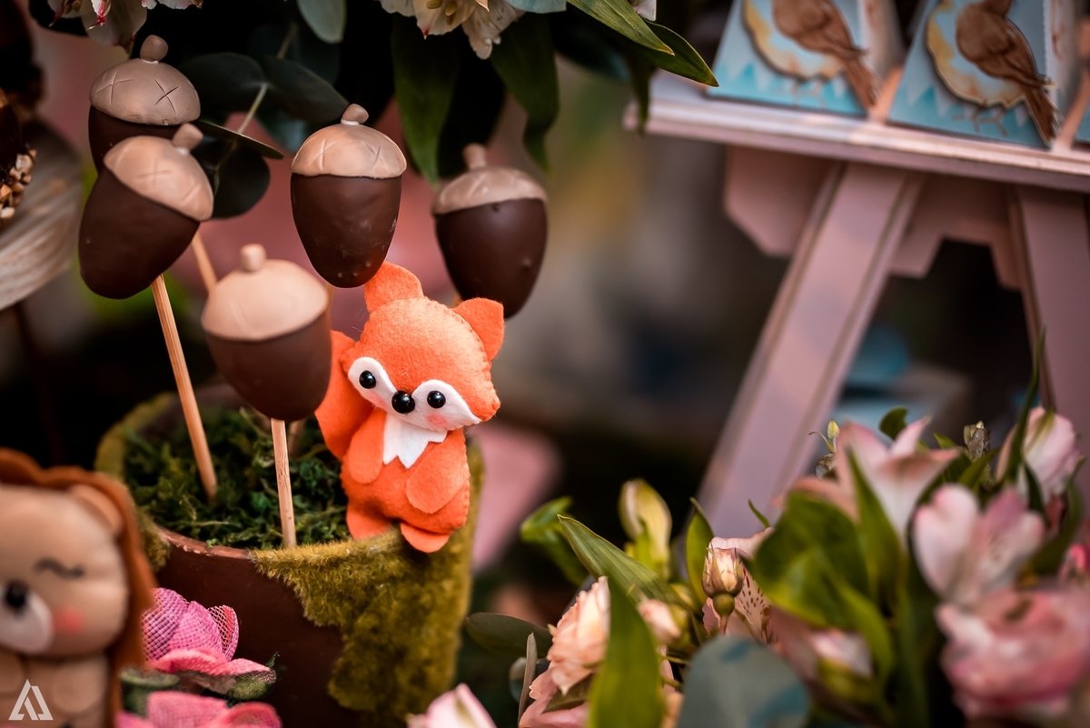 Aniversário Infantil Bosque encantado Alex Jardim Fotografia Fotógrafo Resende Itatiaia Penedo Porto Real Quatis Barra Mansa Volta Redonda Condomínio Residencial Limeira Tênis Clube