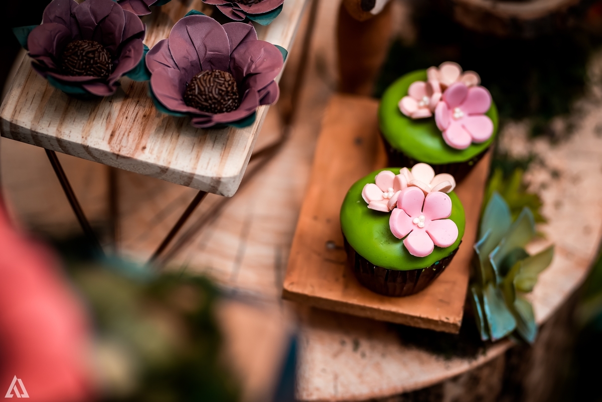 Aniversário Infantil Bosque encantado Alex Jardim Fotografia Fotógrafo Resende Itatiaia Penedo Porto Real Quatis Barra Mansa Volta Redonda Condomínio Residencial Limeira Tênis Clube