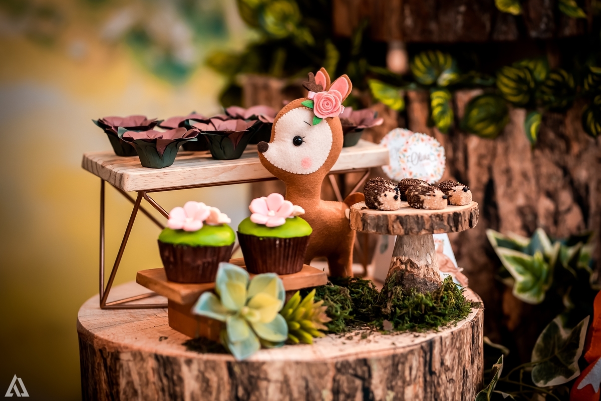 Aniversário Infantil Bosque encantado Alex Jardim Fotografia Fotógrafo Resende Itatiaia Penedo Porto Real Quatis Barra Mansa Volta Redonda Condomínio Residencial Limeira Tênis Clube