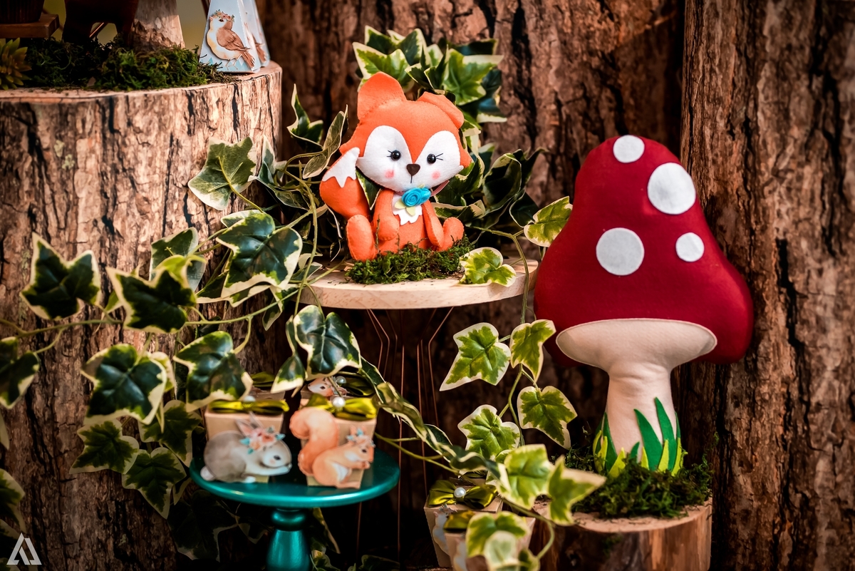 Aniversário Infantil Bosque encantado Alex Jardim Fotografia Fotógrafo Resende Itatiaia Penedo Porto Real Quatis Barra Mansa Volta Redonda Condomínio Residencial Limeira Tênis Clube