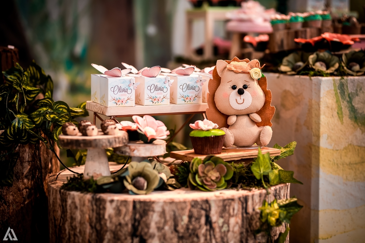 Aniversário Infantil Bosque encantado Alex Jardim Fotografia Fotógrafo Resende Itatiaia Penedo Porto Real Quatis Barra Mansa Volta Redonda Condomínio Residencial Limeira Tênis Clube