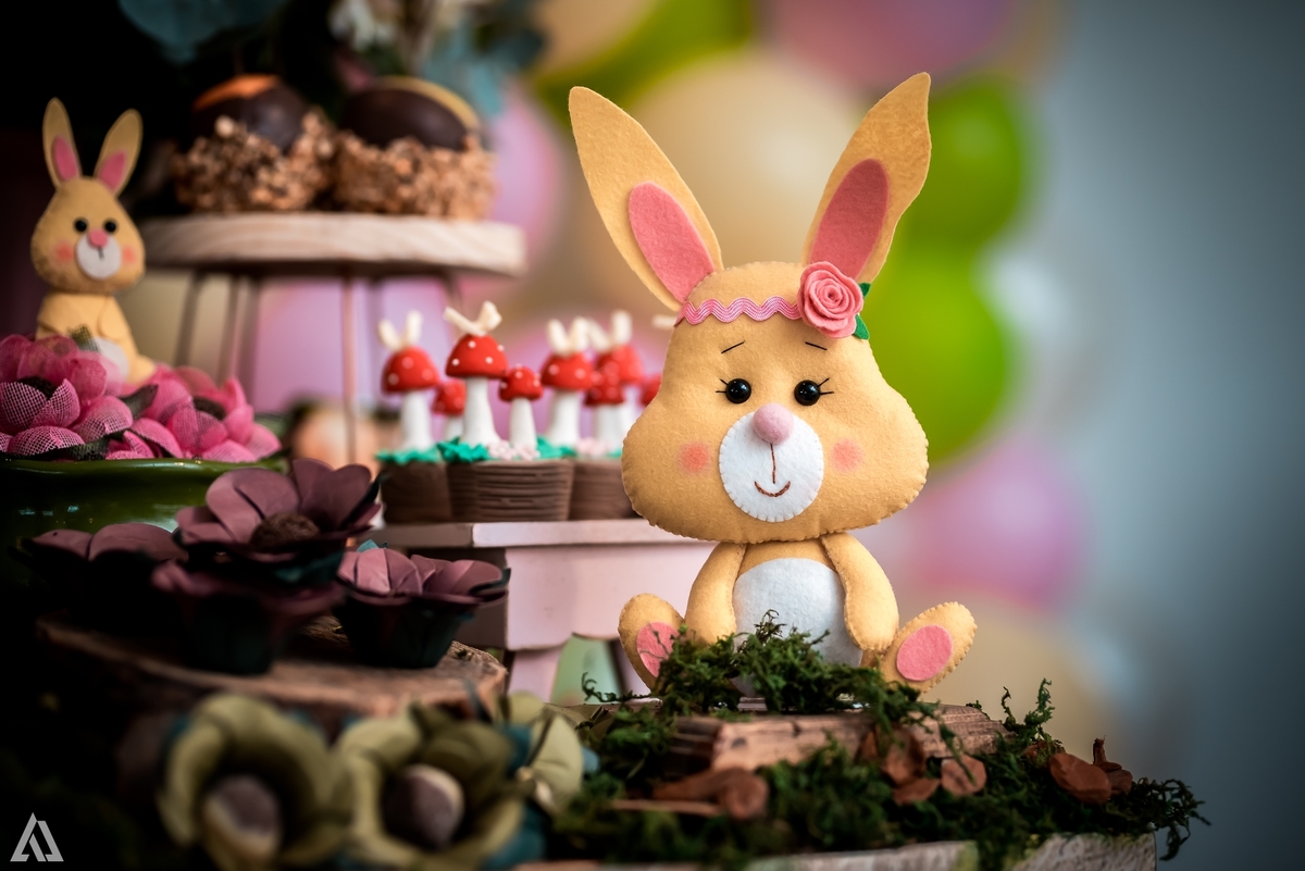 Aniversário Infantil Bosque encantado Alex Jardim Fotografia Fotógrafo Resende Itatiaia Penedo Porto Real Quatis Barra Mansa Volta Redonda Condomínio Residencial Limeira Tênis Clube