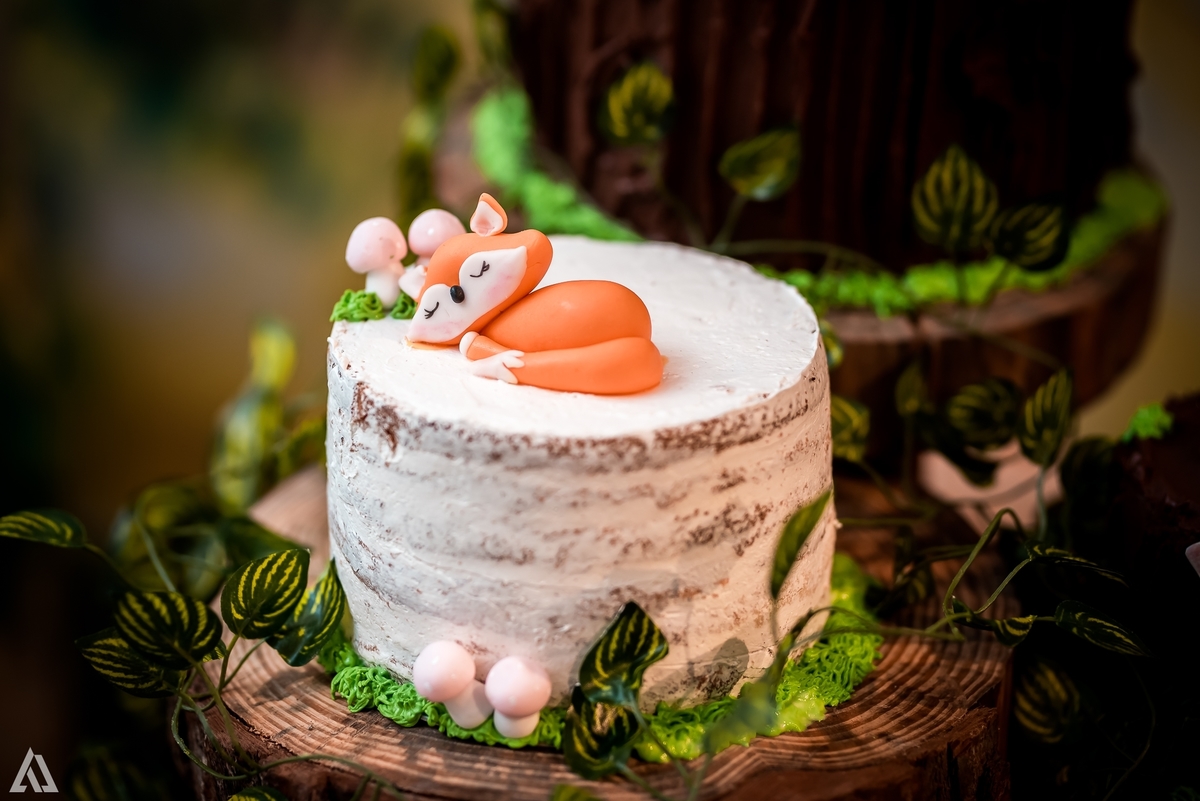 Aniversário Infantil Bosque encantado Alex Jardim Fotografia Fotógrafo Resende Itatiaia Penedo Porto Real Quatis Barra Mansa Volta Redonda Condomínio Residencial Limeira Tênis Clube