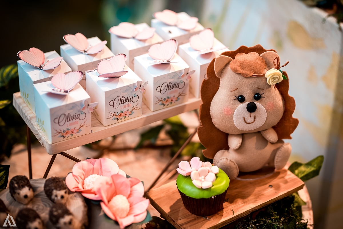 Aniversário Infantil Bosque encantado Alex Jardim Fotografia Fotógrafo Resende Itatiaia Penedo Porto Real Quatis Barra Mansa Volta Redonda Condomínio Residencial Limeira Tênis Clube