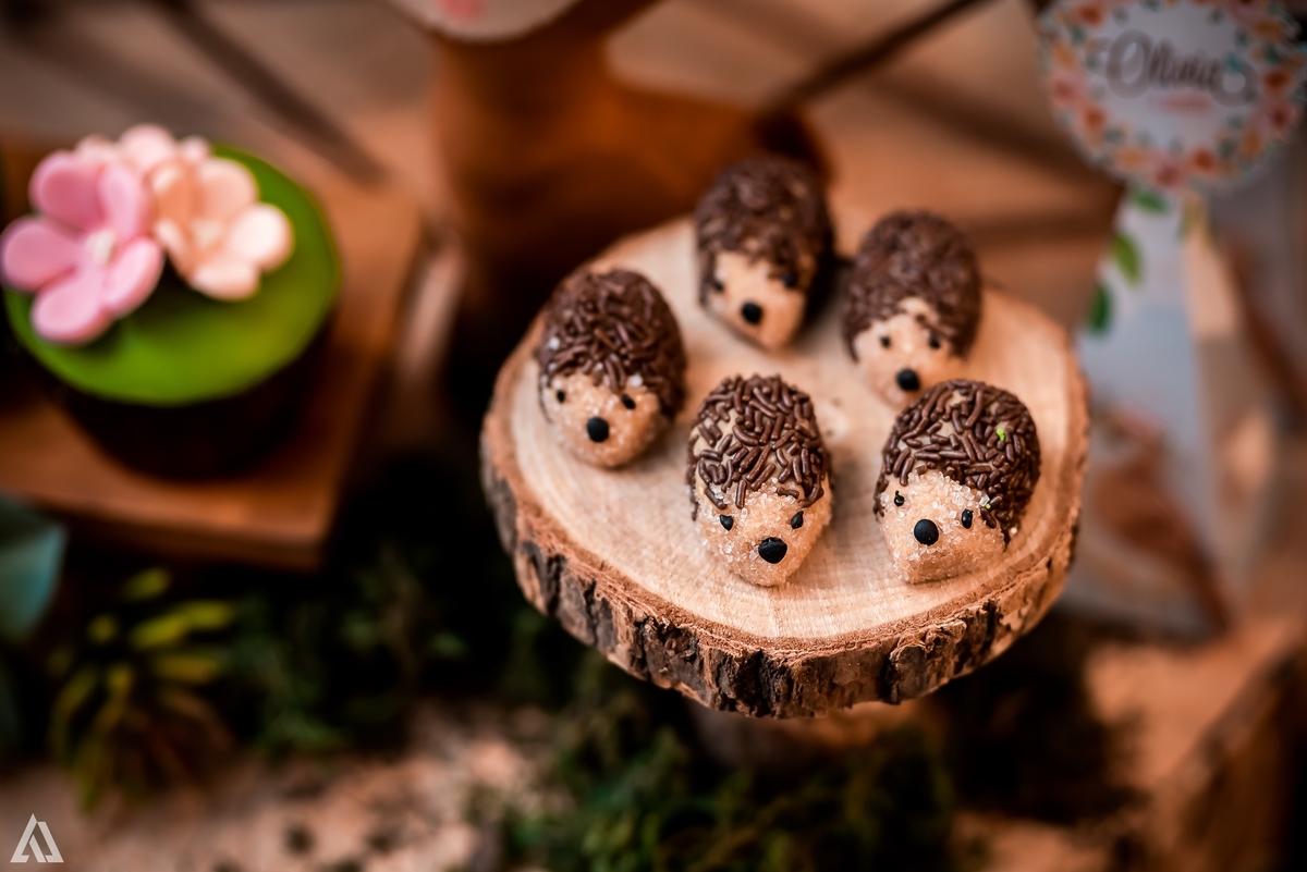 Aniversário Infantil Bosque encantado Alex Jardim Fotografia Fotógrafo Resende Itatiaia Penedo Porto Real Quatis Barra Mansa Volta Redonda Condomínio Residencial Limeira Tênis Clube