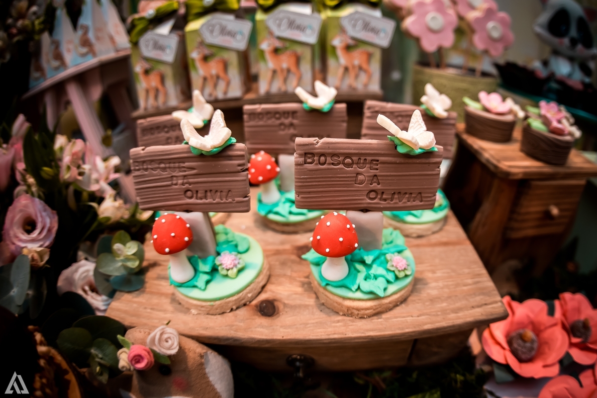 Aniversário Infantil Bosque encantado Alex Jardim Fotografia Fotógrafo Resende Itatiaia Penedo Porto Real Quatis Barra Mansa Volta Redonda Condomínio Residencial Limeira Tênis Clube