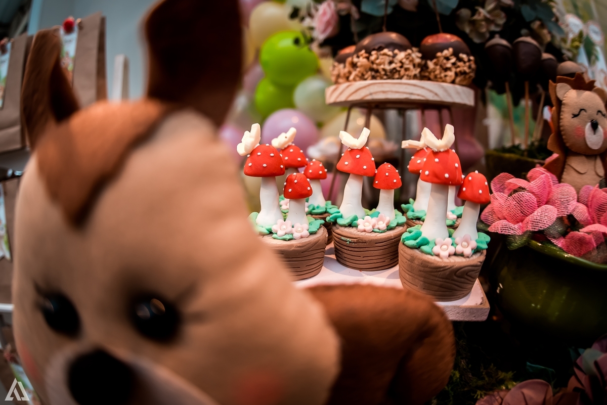 Aniversário Infantil Bosque encantado Alex Jardim Fotografia Fotógrafo Resende Itatiaia Penedo Porto Real Quatis Barra Mansa Volta Redonda Condomínio Residencial Limeira Tênis Clube