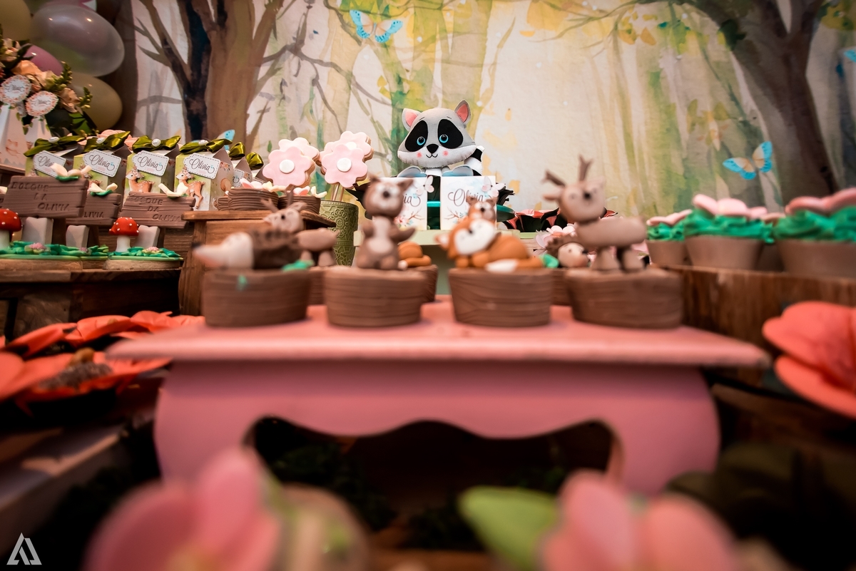 Aniversário Infantil Bosque encantado Alex Jardim Fotografia Fotógrafo Resende Itatiaia Penedo Porto Real Quatis Barra Mansa Volta Redonda Condomínio Residencial Limeira Tênis Clube