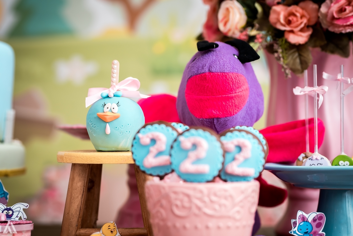 Aniversário Infantil Galinha Pintadinha Alex Jardim Fotografia Fotógrafo Resende Itatiaia Penedo Porto Real Quatis Barra Mansa Volta Redonda 