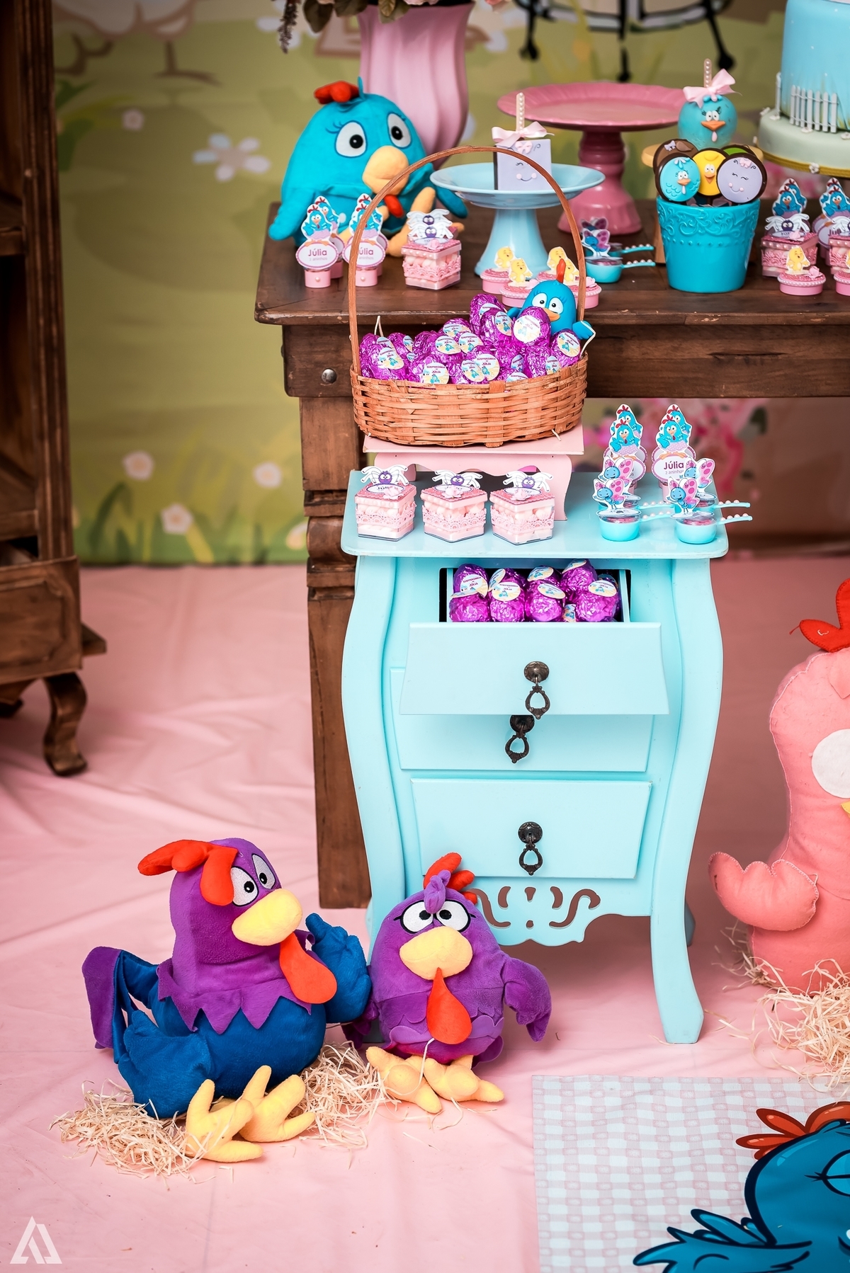 Aniversário Infantil Galinha Pintadinha Alex Jardim Fotografia Fotógrafo Resende Itatiaia Penedo Porto Real Quatis Barra Mansa Volta Redonda 