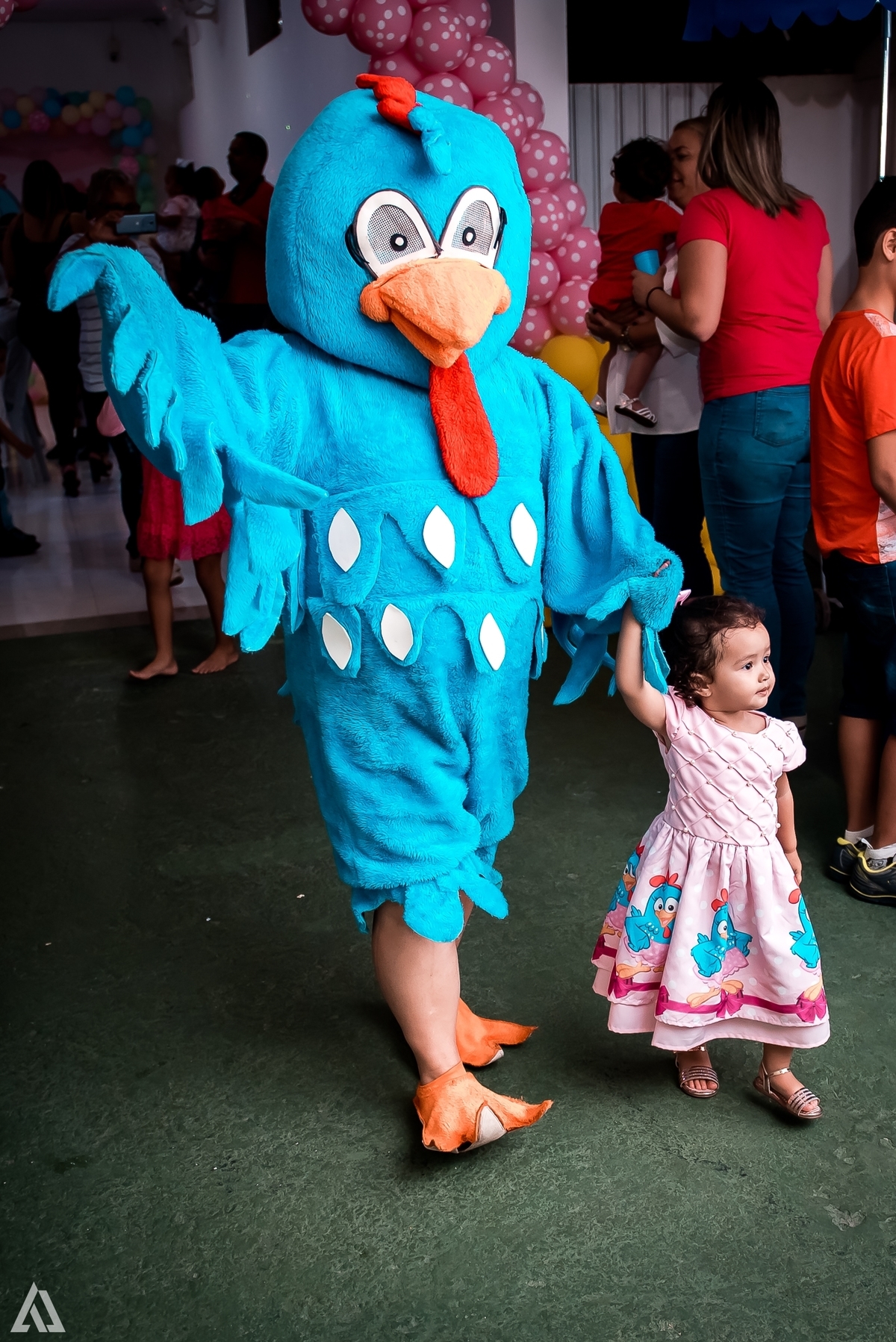Aniversário Infantil Galinha Pintadinha Alex Jardim Fotografia Fotógrafo Resende Itatiaia Penedo Porto Real Quatis Barra Mansa Volta Redonda 