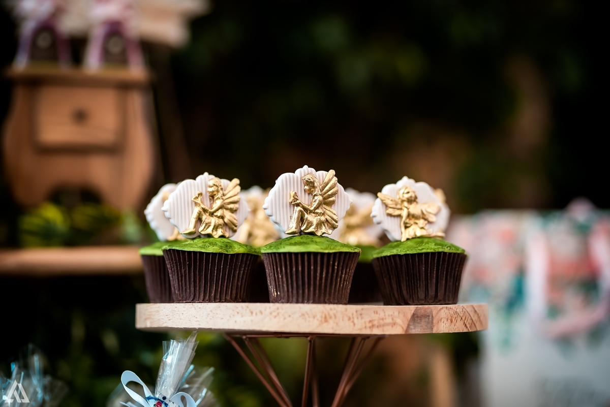 Aniversário Infantil Bosque encantado Fada Alex Jardim Fotografia Fotógrafo Resende Itatiaia Penedo Porto Real Quatis Barra Mansa Volta Redonda 