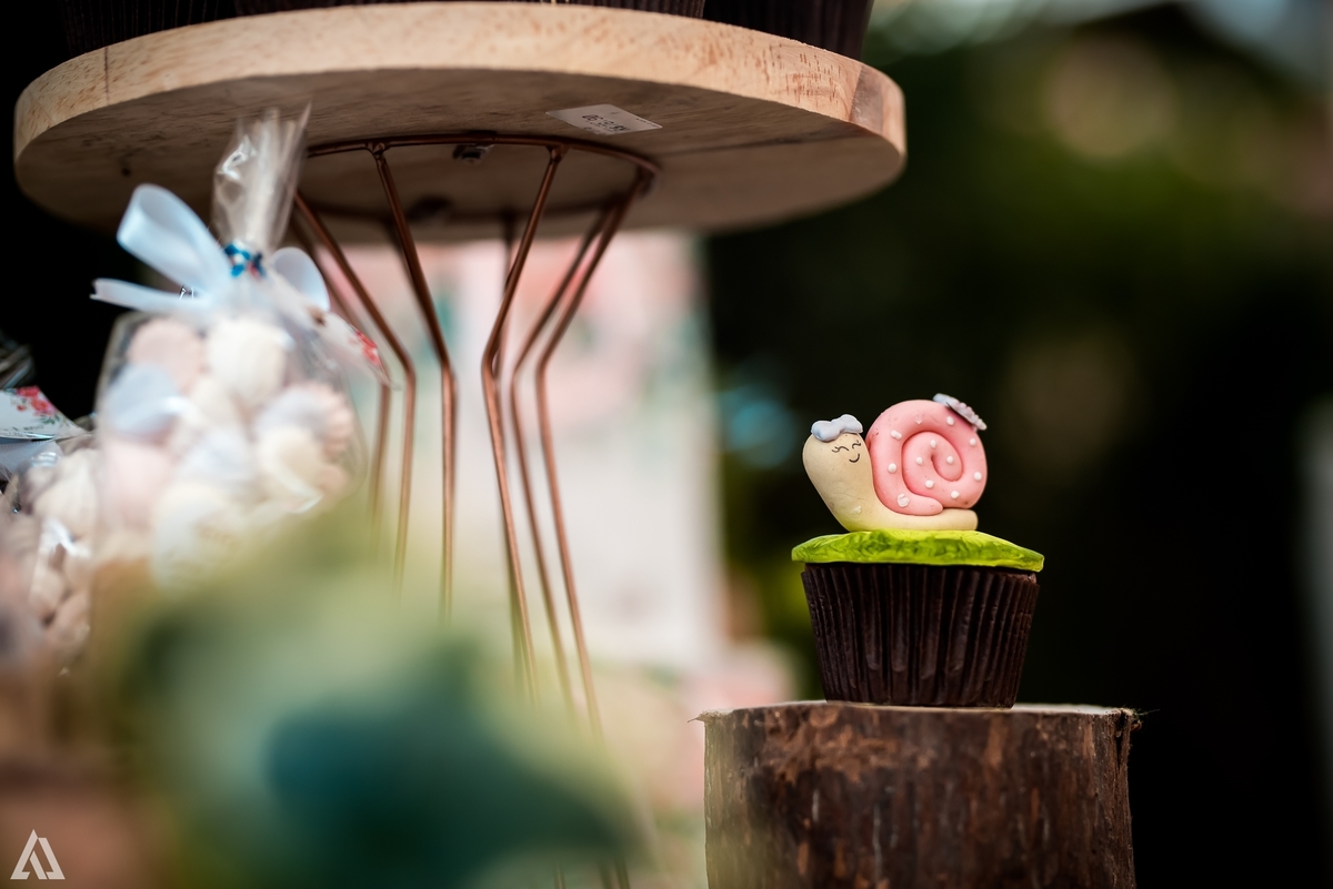 Aniversário Infantil Bosque encantado Fada Alex Jardim Fotografia Fotógrafo Resende Itatiaia Penedo Porto Real Quatis Barra Mansa Volta Redonda 