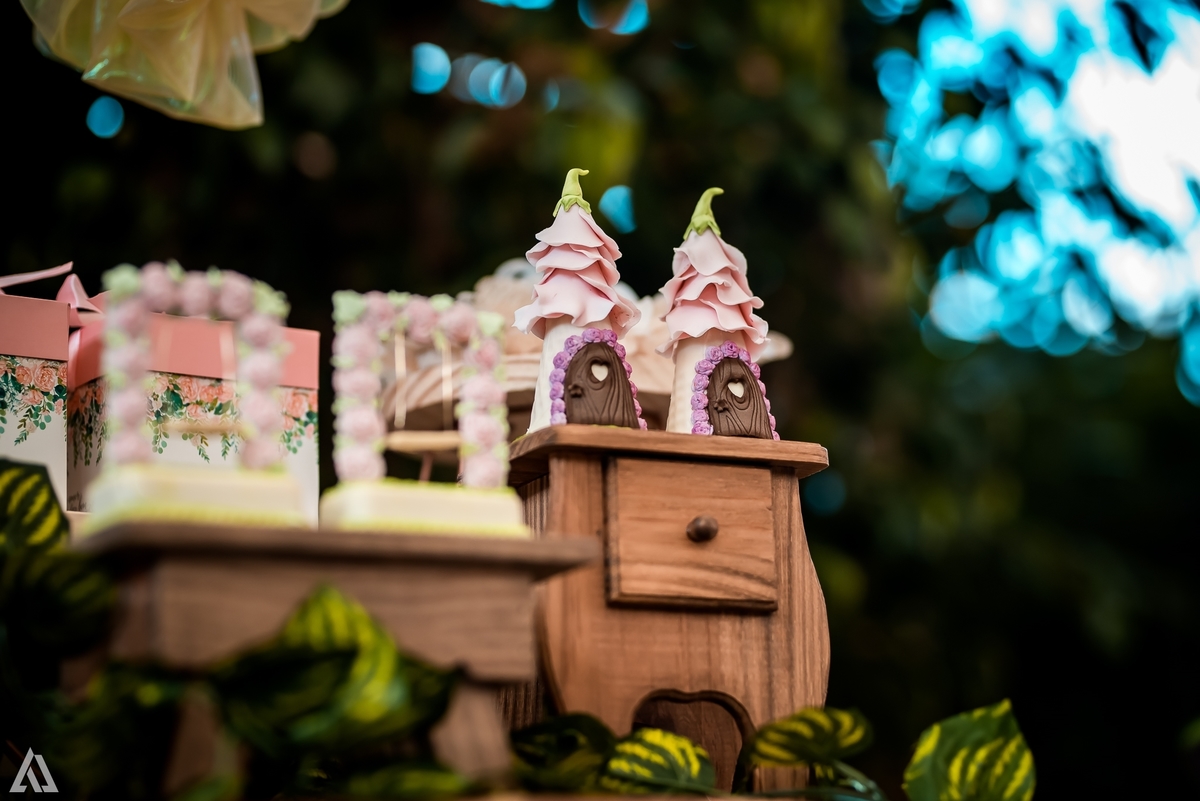 Aniversário Infantil Bosque encantado Fada Alex Jardim Fotografia Fotógrafo Resende Itatiaia Penedo Porto Real Quatis Barra Mansa Volta Redonda 