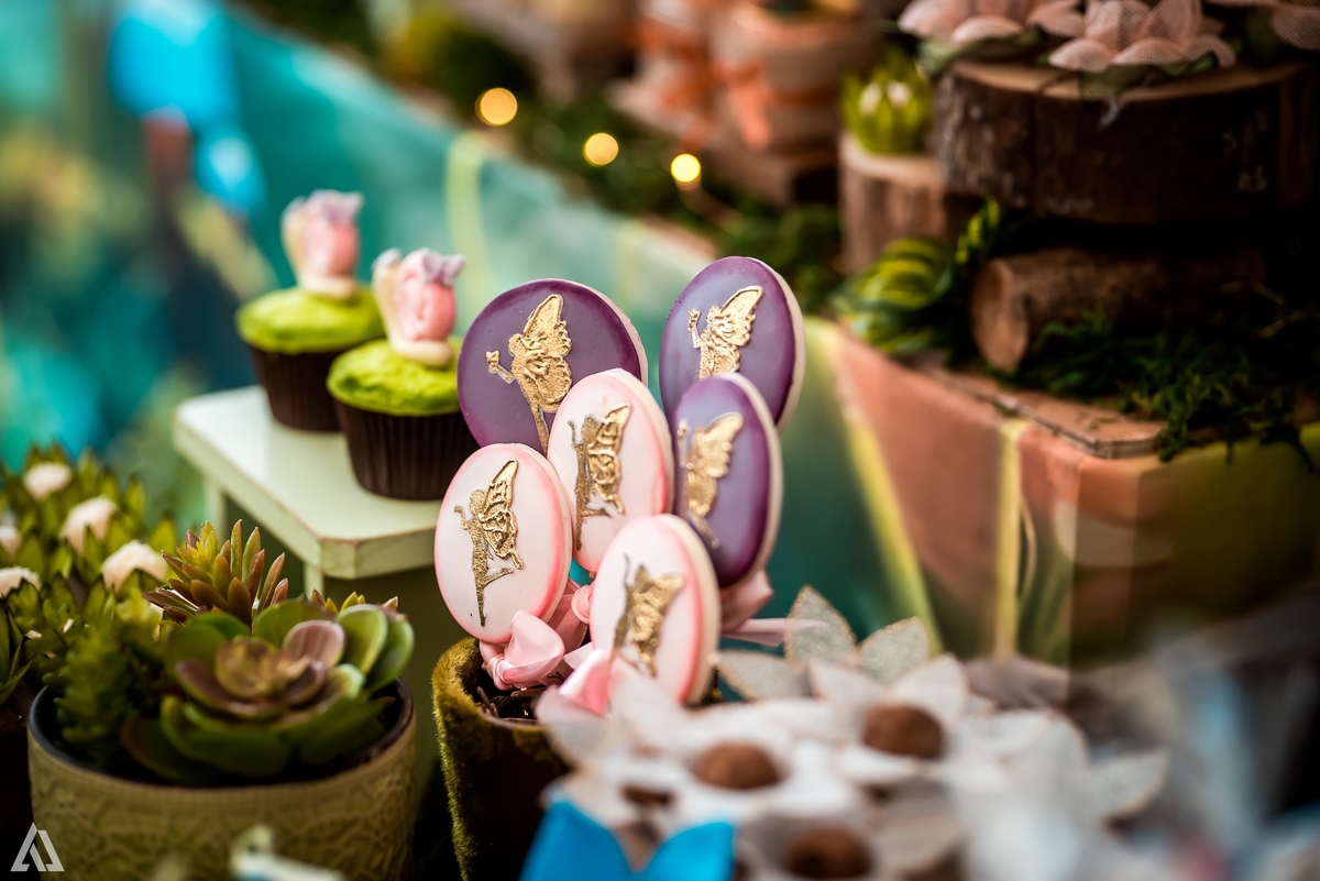 Aniversário Infantil Bosque encantado Fada Alex Jardim Fotografia Fotógrafo Resende Itatiaia Penedo Porto Real Quatis Barra Mansa Volta Redonda 