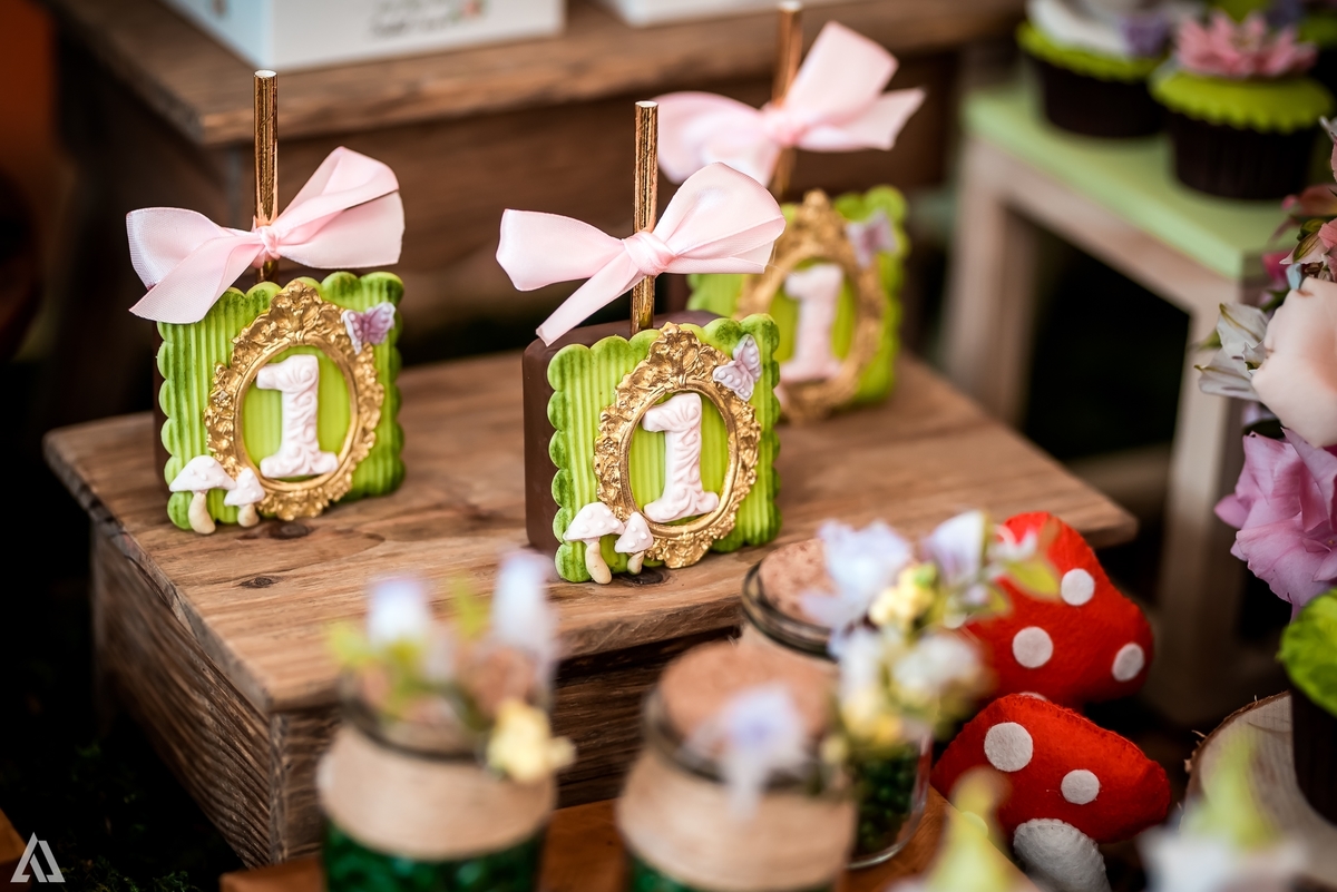 Aniversário Infantil Bosque encantado Fada Alex Jardim Fotografia Fotógrafo Resende Itatiaia Penedo Porto Real Quatis Barra Mansa Volta Redonda 