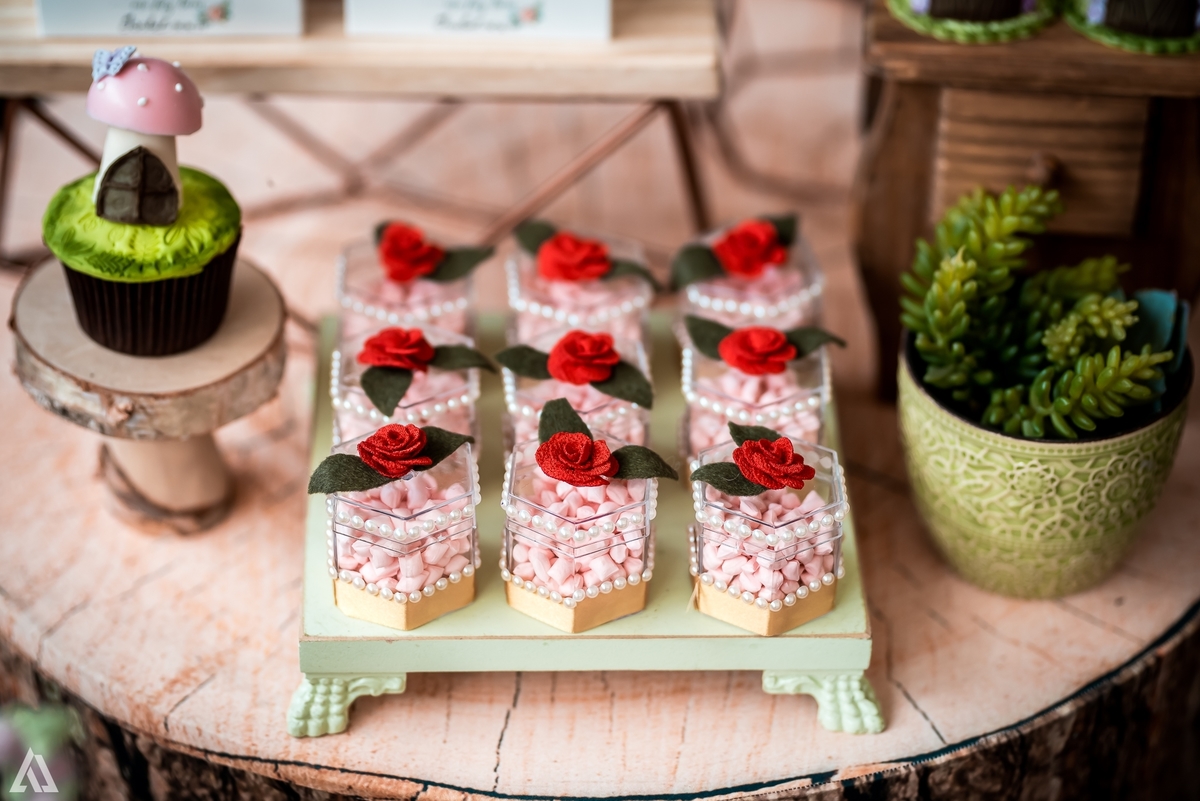 Aniversário Infantil Bosque encantado Fada Alex Jardim Fotografia Fotógrafo Resende Itatiaia Penedo Porto Real Quatis Barra Mansa Volta Redonda 