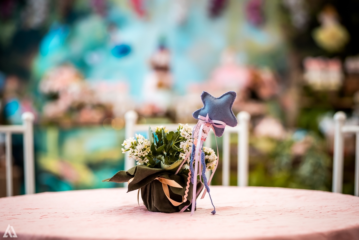 Aniversário Infantil Bosque encantado Fada Alex Jardim Fotografia Fotógrafo Resende Itatiaia Penedo Porto Real Quatis Barra Mansa Volta Redonda 