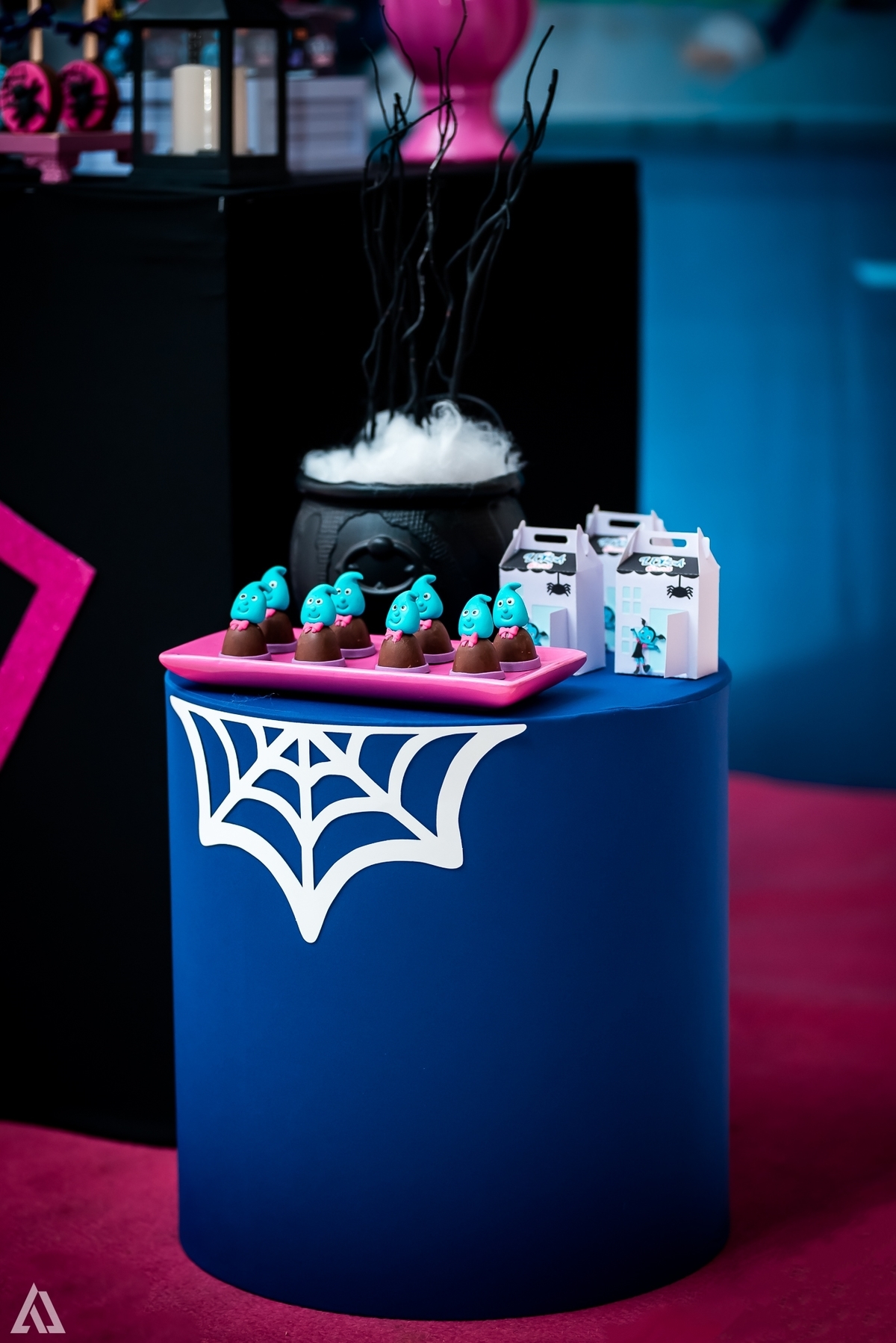 Aniversário Infantil Vampirina Alex Jardim Fotografia Fotógrafo Resende Itatiaia Penedo Porto Real Quatis Barra Mansa Volta Redonda Buffet Pintou Alegria Salão de Festas