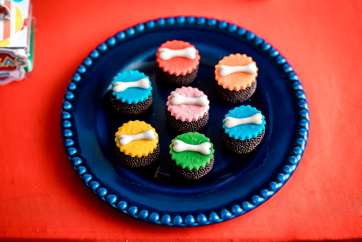 Aniversário Infantil Patrulha Canina Paw Patrol Alex Jardim Fotografia Fotógrafo Resende Itatiaia Penedo Porto Real Quatis Barra Mansa Volta Redonda Buffet Pintou Alegria Salão de Festas