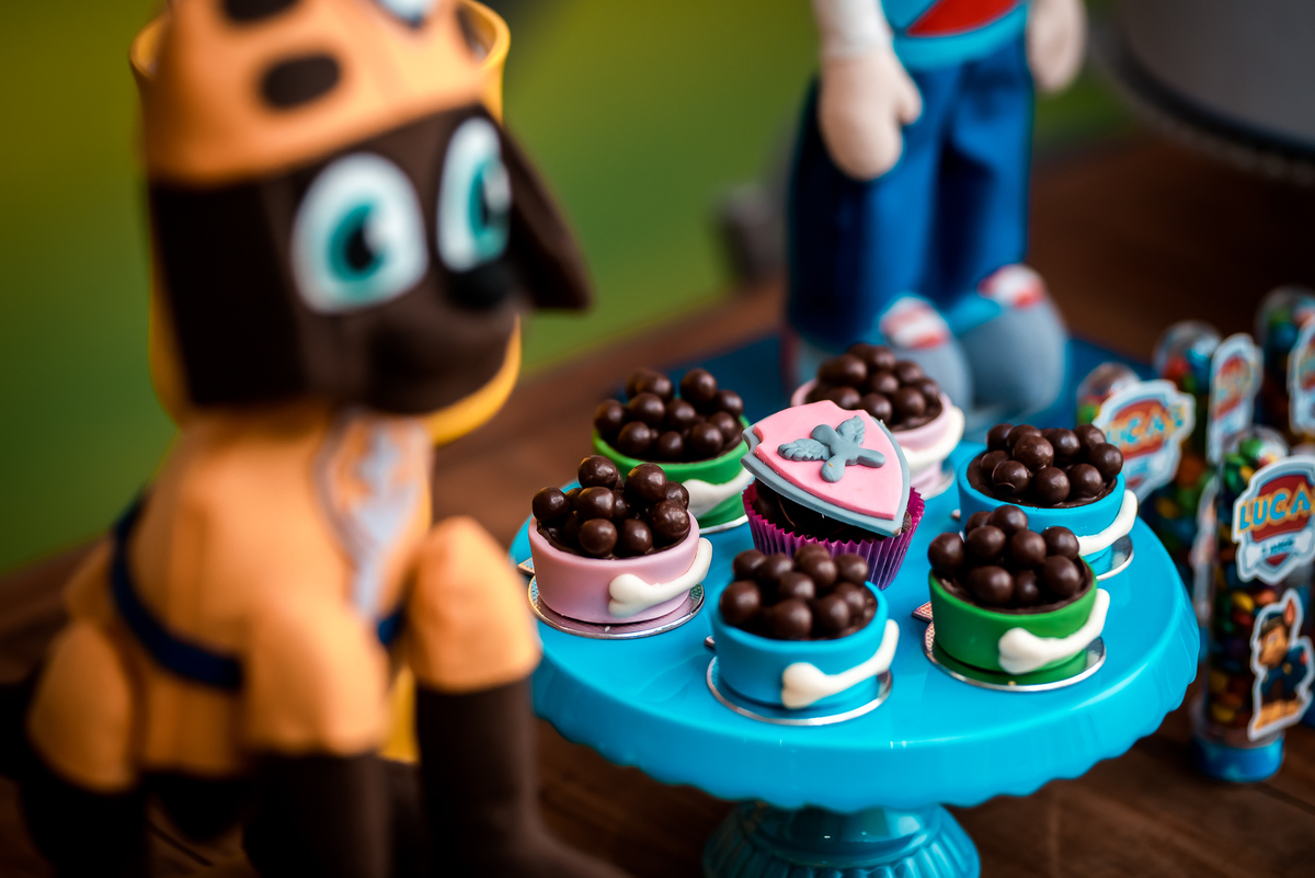 Aniversário Infantil Patrulha Canina Paw Patrol Alex Jardim Fotografia Fotógrafo Resende Itatiaia Penedo Porto Real Quatis Barra Mansa Volta Redonda Buffet Pintou Alegria Salão de Festas