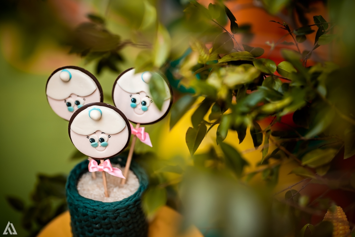 Aniversário Infantil Sitio do Pica Pau Amarelo Emília Alex Jardim Fotografia Fotógrafo Resende Itatiaia Penedo Porto Real Quatis Barra Mansa Volta Redonda Buffet Pintou Alegria Meu Pé de Jambo La Belle Maison Lenas Buffet Salão de Festas