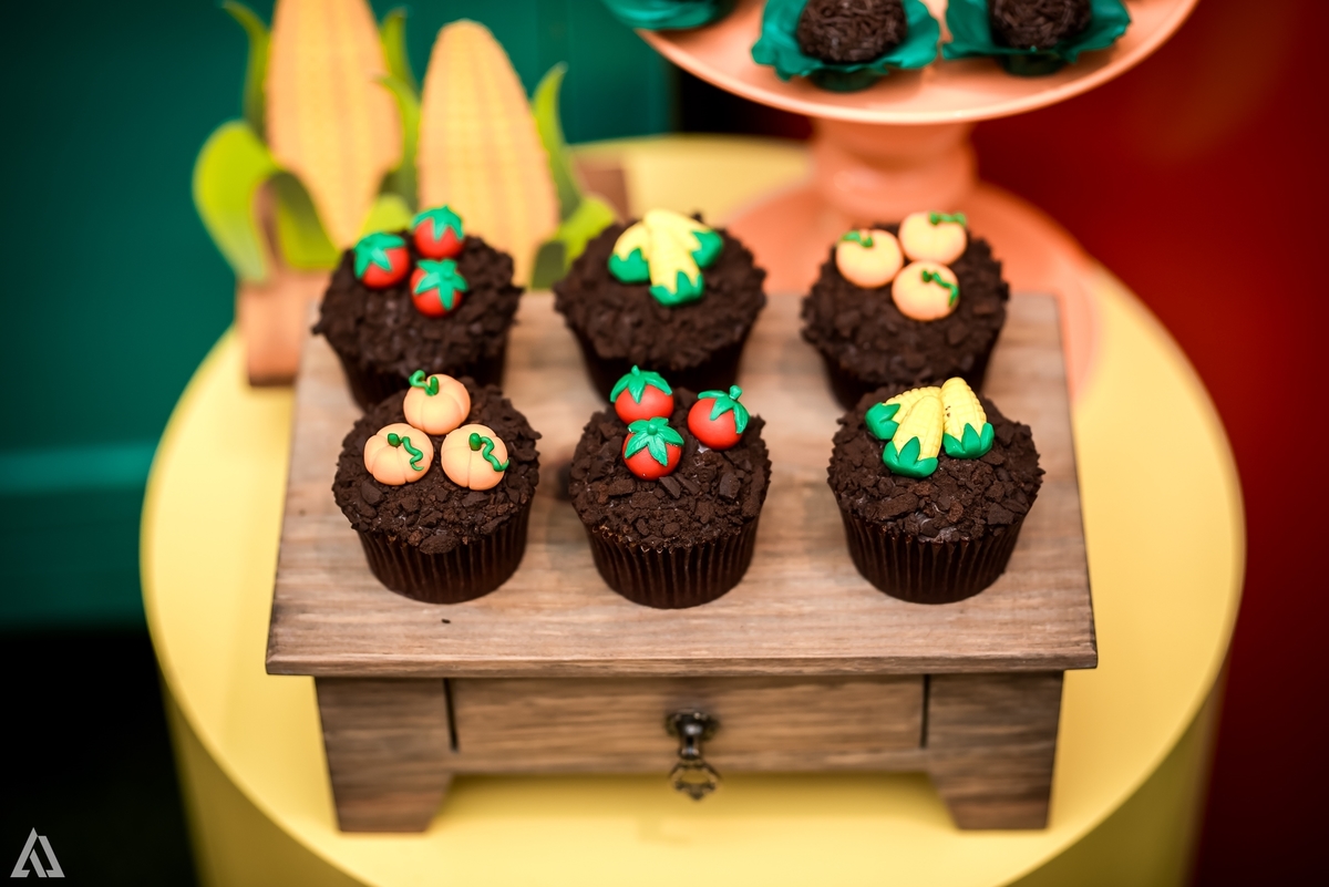 Aniversário Infantil Sitio do Pica Pau Amarelo Emília Alex Jardim Fotografia Fotógrafo Resende Itatiaia Penedo Porto Real Quatis Barra Mansa Volta Redonda Buffet Pintou Alegria Meu Pé de Jambo La Belle Maison Lenas Buffet Salão de Festas