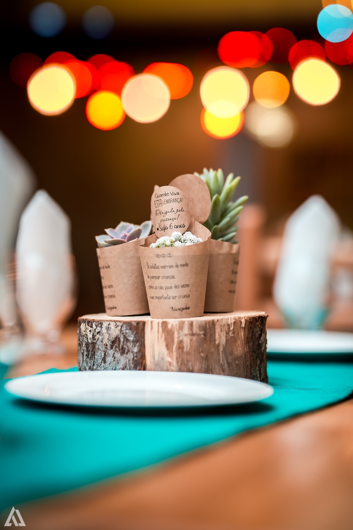 Aniversário Infantil Sitio do Pica Pau Amarelo Emília Alex Jardim Fotografia Fotógrafo Resende Itatiaia Penedo Porto Real Quatis Barra Mansa Volta Redonda Buffet Pintou Alegria Meu Pé de Jambo La Belle Maison Lenas Buffet Salão de Festas