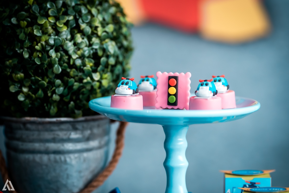 Aniversário Infantil Alex Jardim Fotografia Fotógrafo Resende Itatiaia Penedo Porto Real Quatis Barra Mansa Volta Redonda Buffet Pintou Alegria Meu Pé de Jambo La Belle Maison Lenas Buffet Salão de Festas