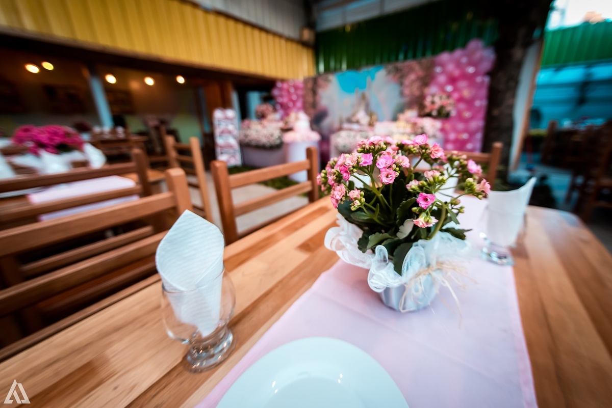 Aniversário Infantil Jardim da Princesa Alex Jardim Fotografia Fotógrafo Resende Itatiaia Penedo Porto Real Quatis Barra Mansa Volta Redonda Buffet Pintou Alegria Meu Pé de Jambo La Belle Maison Lenas Buffet Salão de Festas