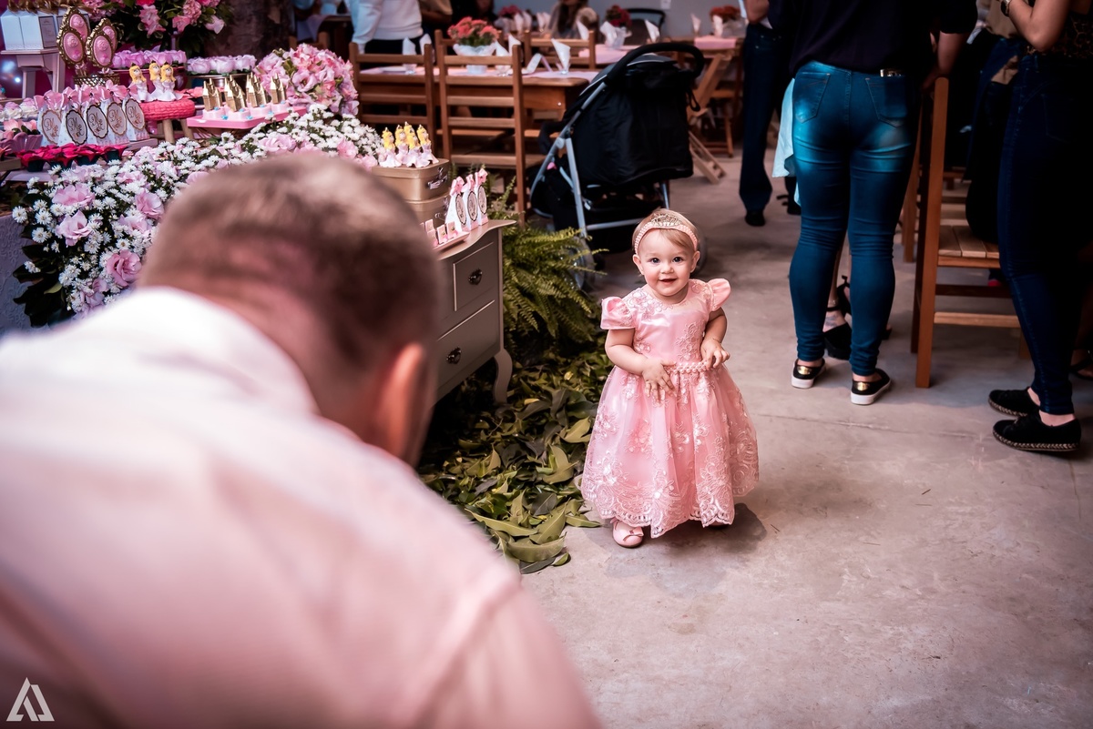 Aniversário Infantil Jardim da Princesa Alex Jardim Fotografia Fotógrafo Resende Itatiaia Penedo Porto Real Quatis Barra Mansa Volta Redonda Buffet Pintou Alegria Meu Pé de Jambo La Belle Maison Lenas Buffet Salão de Festas