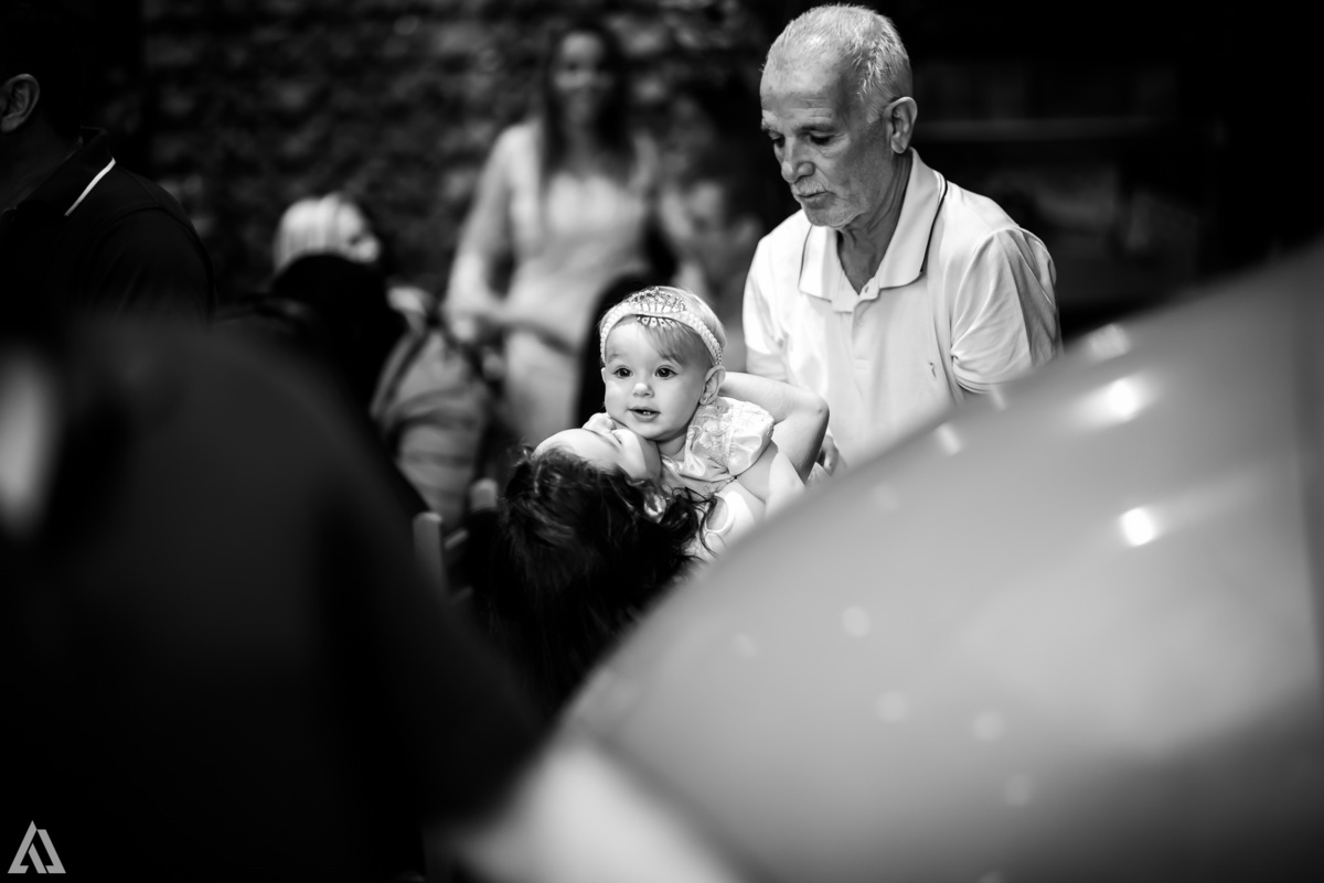 Aniversário Infantil Jardim da Princesa Alex Jardim Fotografia Fotógrafo Resende Itatiaia Penedo Porto Real Quatis Barra Mansa Volta Redonda Buffet Pintou Alegria Meu Pé de Jambo La Belle Maison Lenas Buffet Salão de Festas